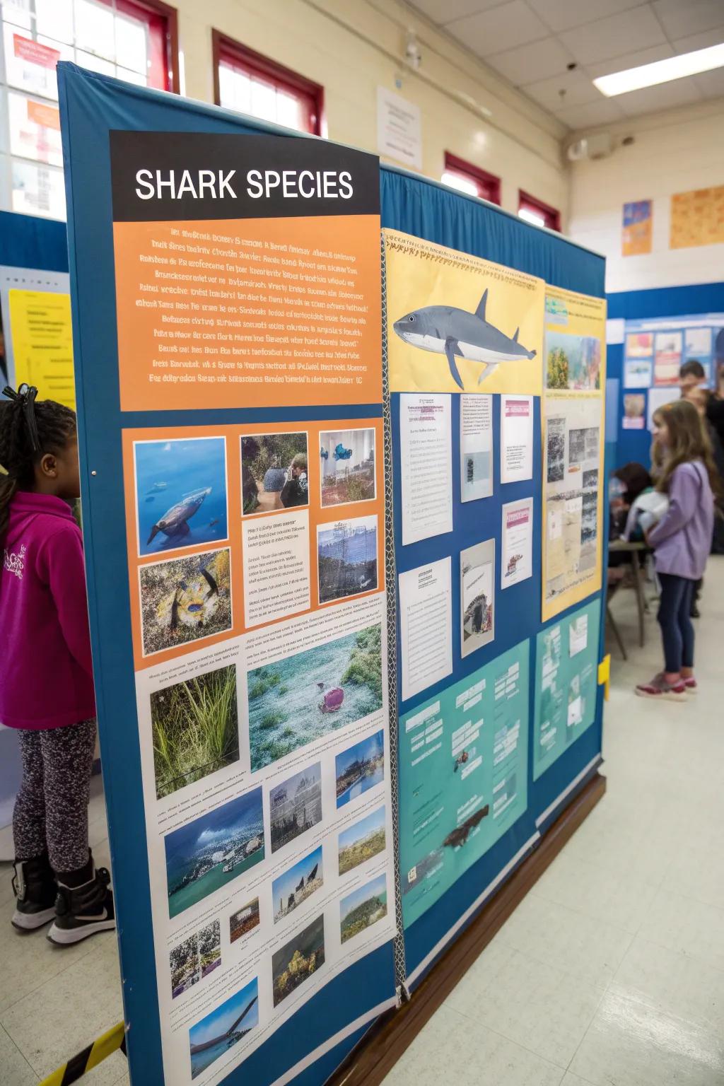 Examine the diversity of sharks via this instructional presentation.