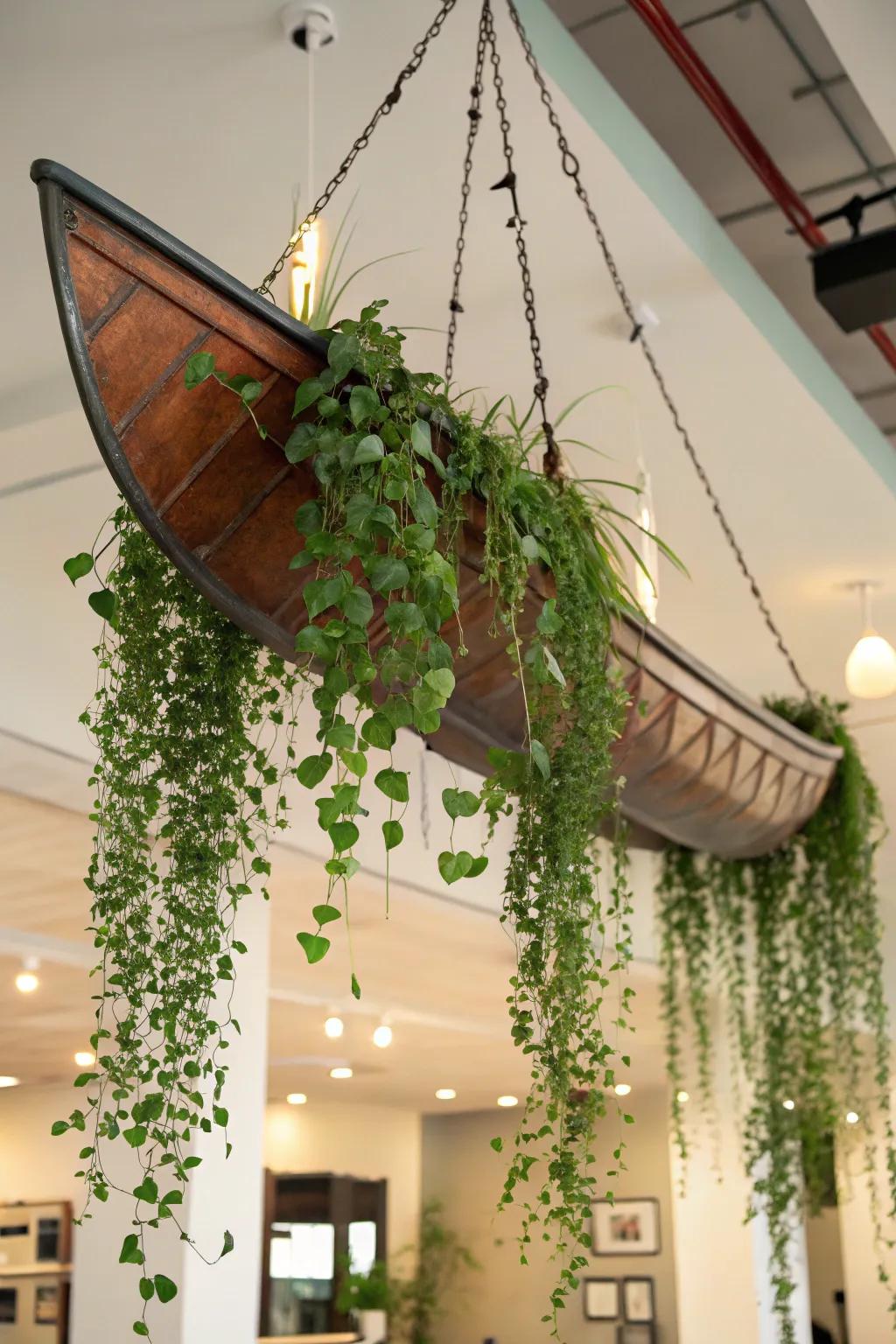 An indoor suspended boat planter creates a floating green oasis.