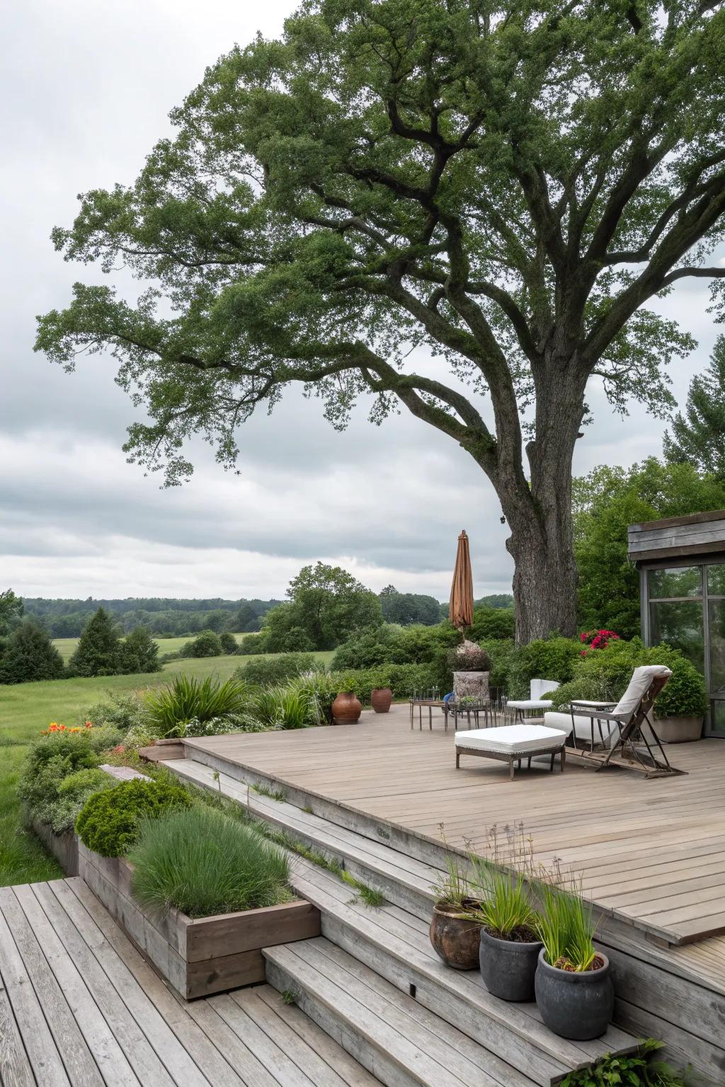 Merge nature into your deck's design for a harmonious aesthetic.