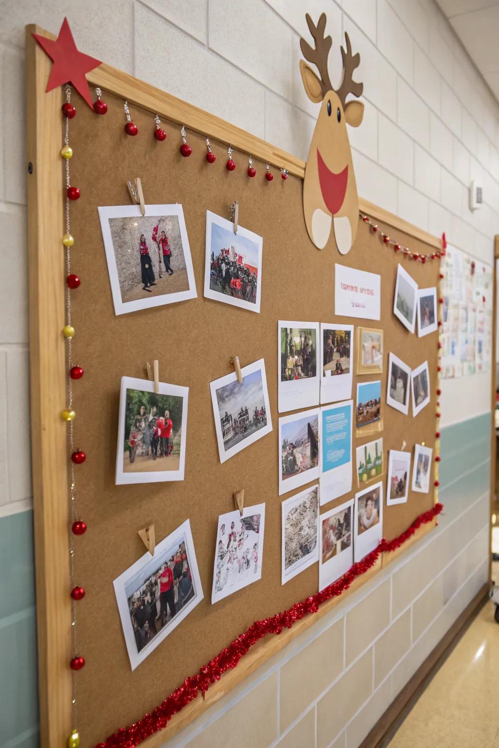 A reindeer photographic collection appends an intimate nuance to your presentation.