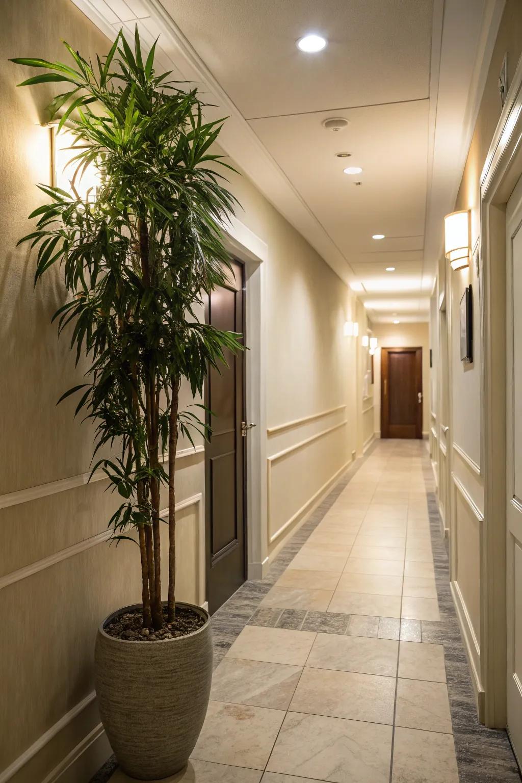 Greenery delivers vibrancy to narrow spaces.