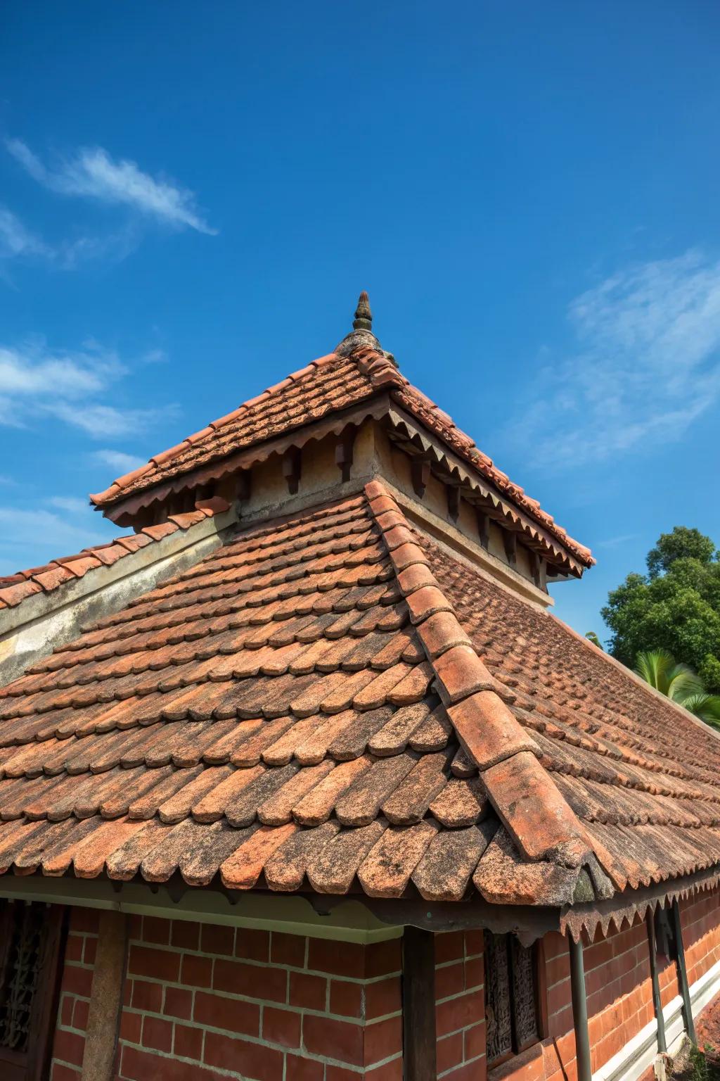 The Terracotta-Lime roof brings traditional sophistication to modern homes.