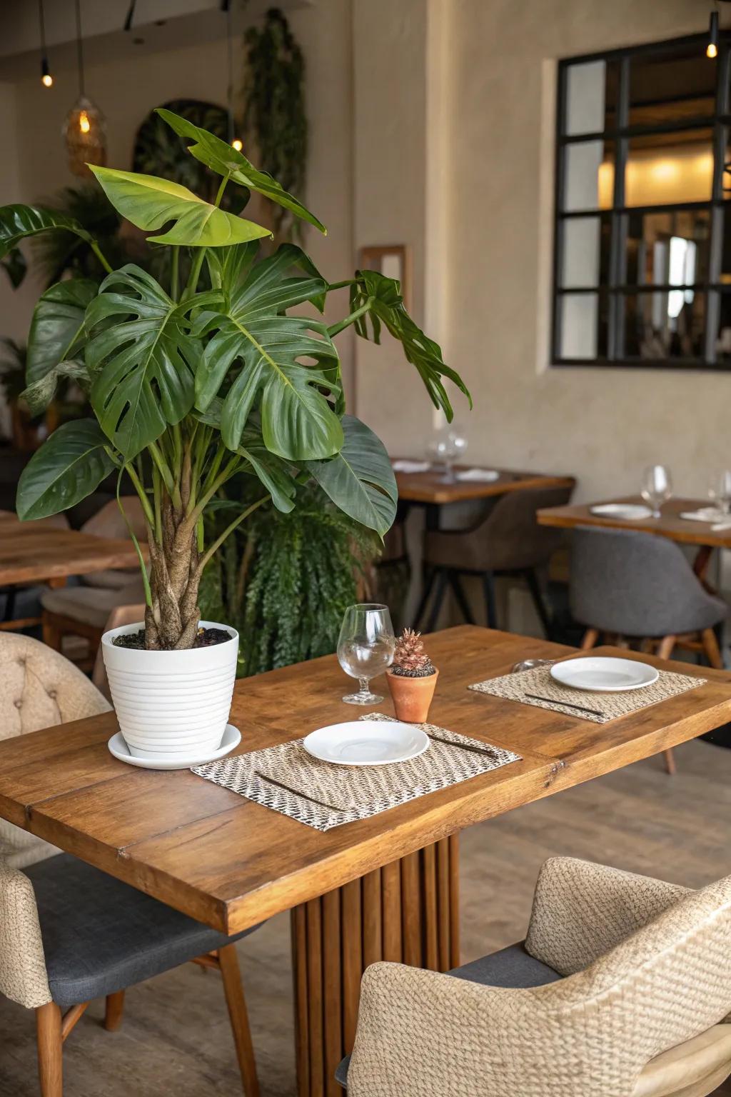 Organic aspects create a warm, welcoming area.