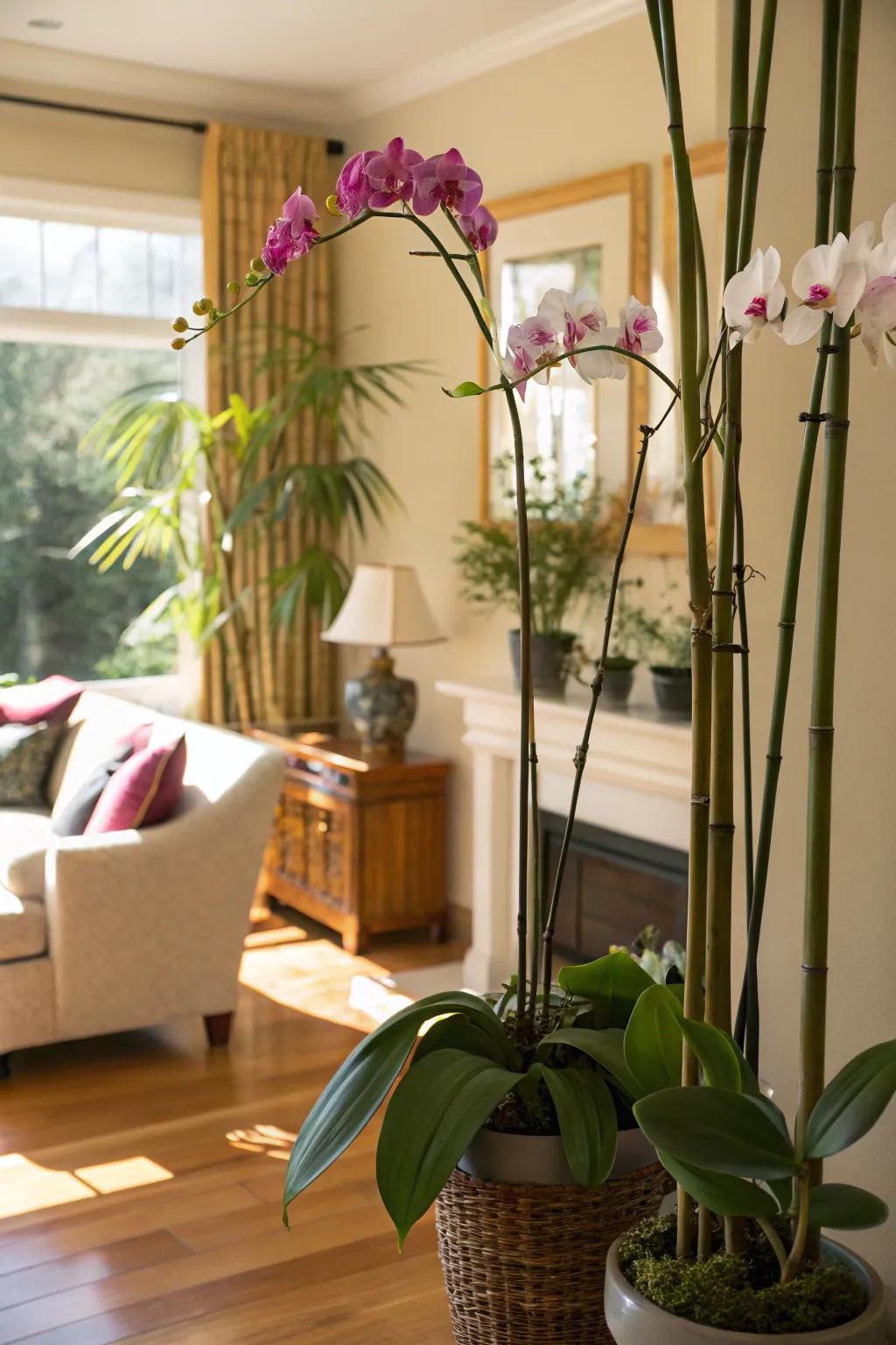 Greenery infusing tranquility and equilibrium to the family area.
