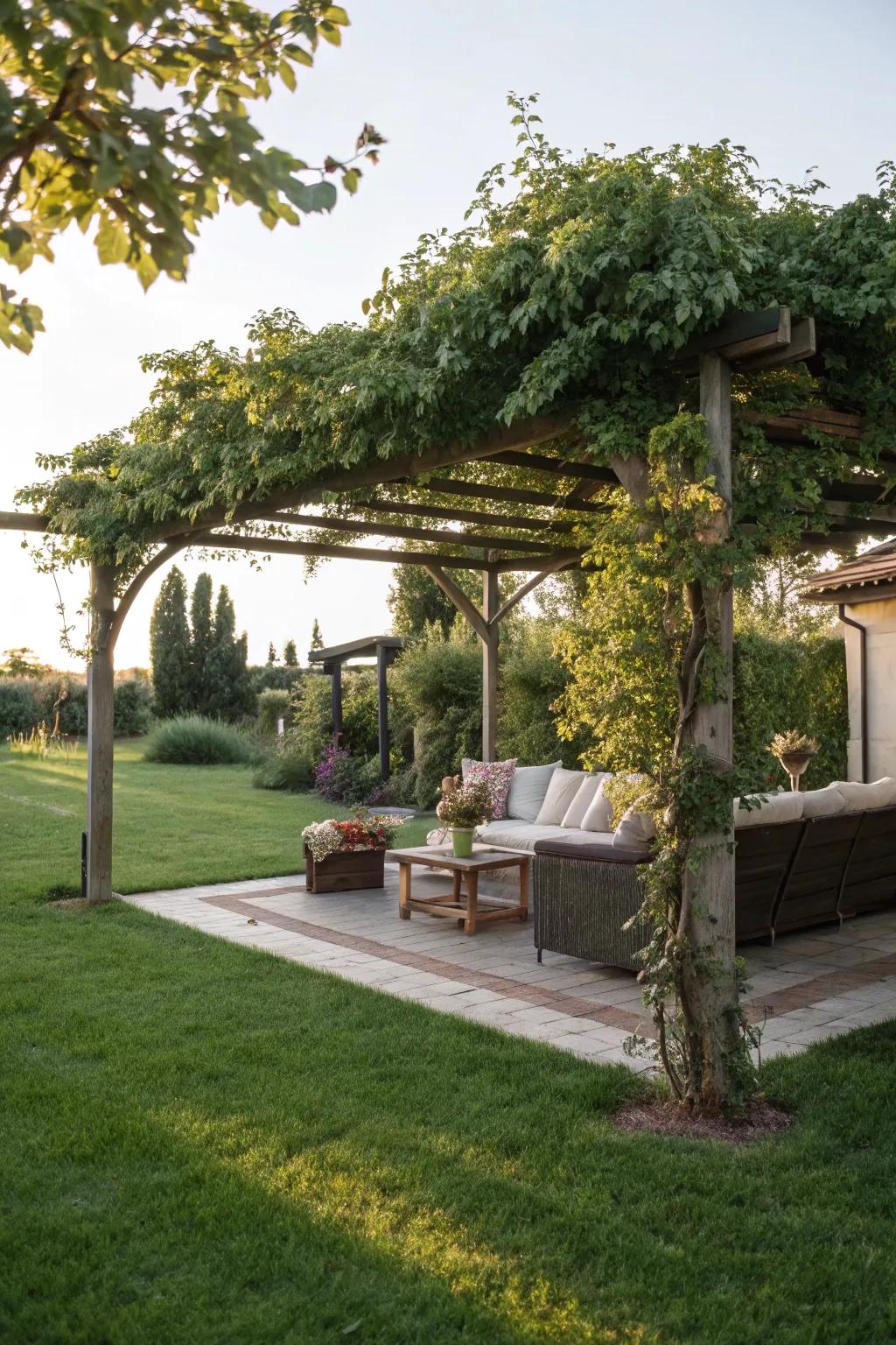 A pergola provides shade and a hint of elegance.