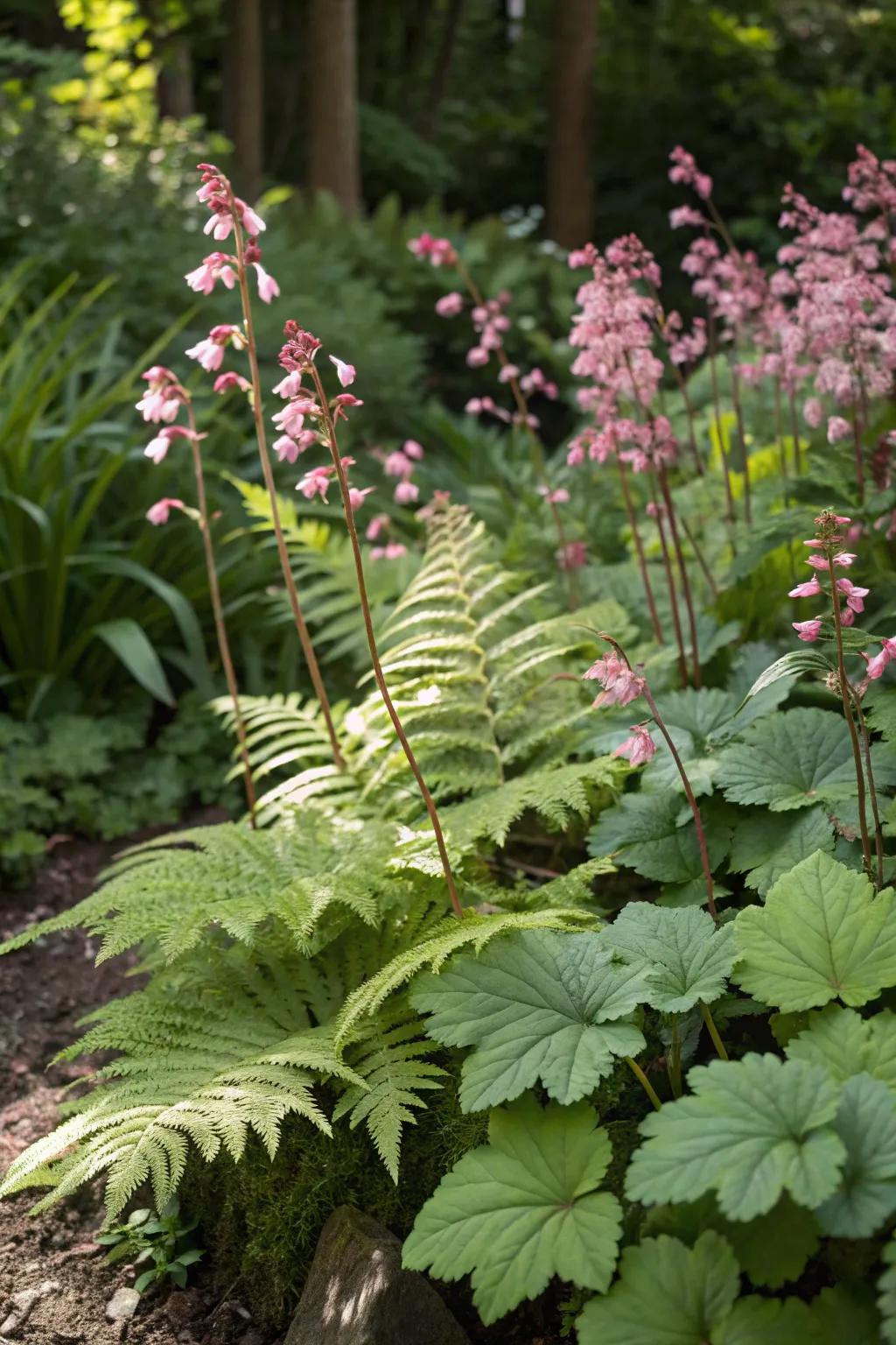 Coral bells and ferns create a lush and textured garden display.