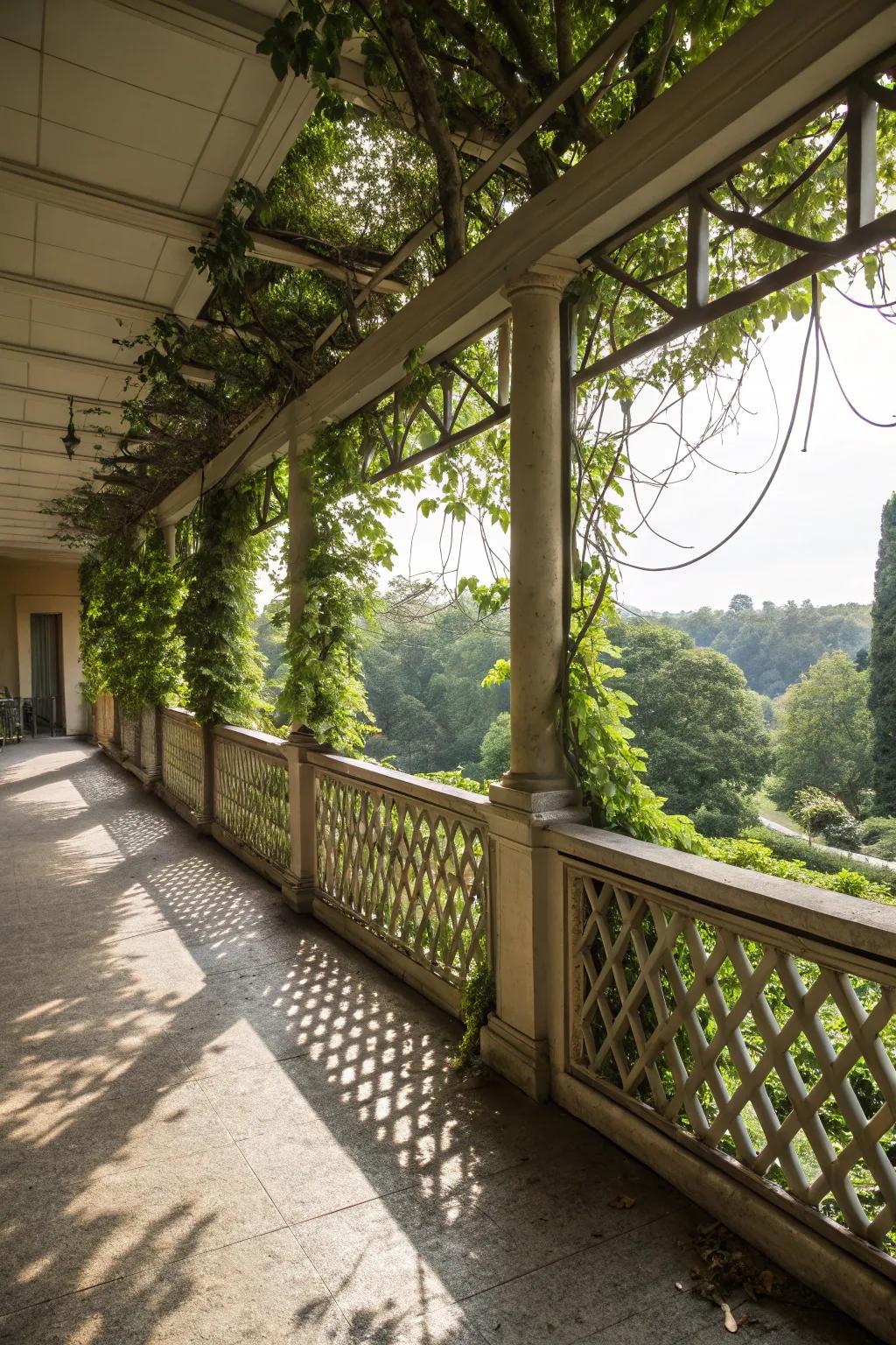 Lattice balustrades offering privacy and charm.
