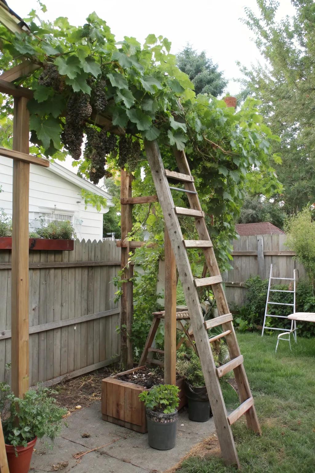 Upcycled components can fashion remarkable and environmentally mindful trellis designs.