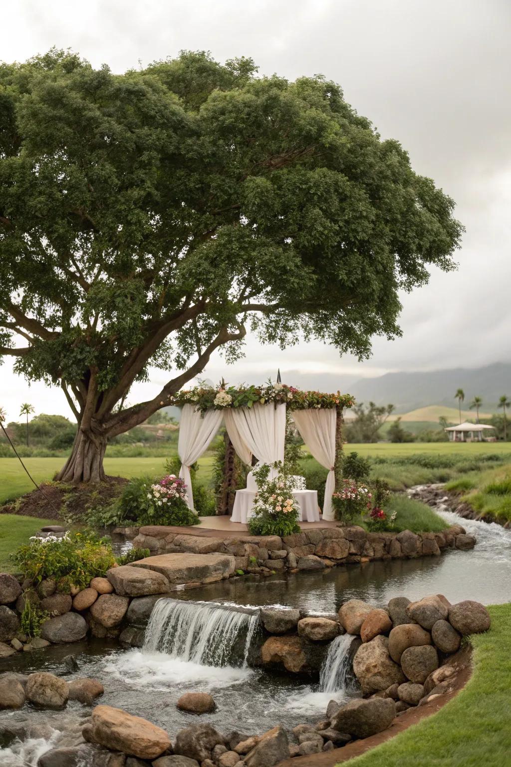 Embrace raw components for a seamless open-air wedding.