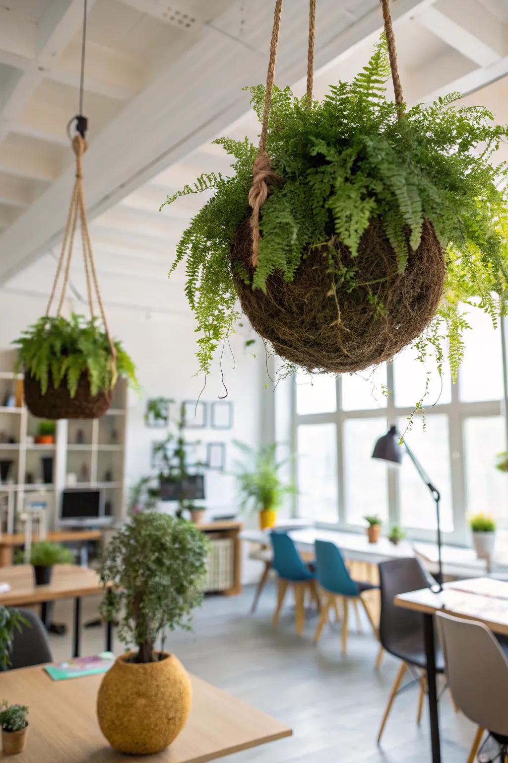 Engage guests with suspended kokedama.