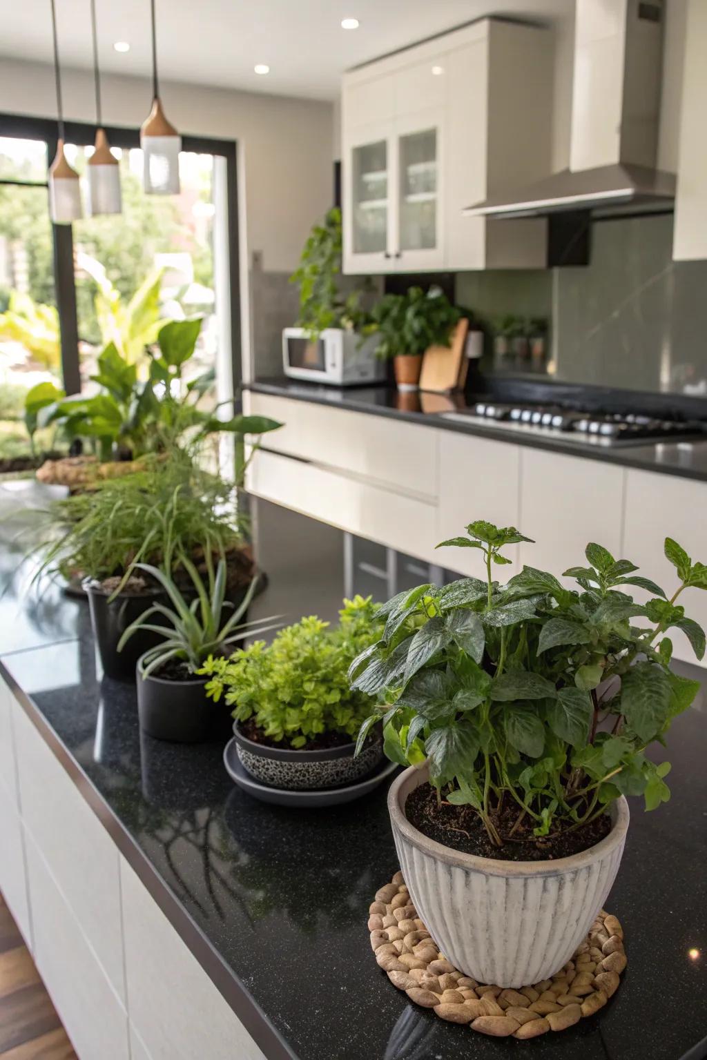 Vegetation introducing a fresh contrast to dark-toned countertops.