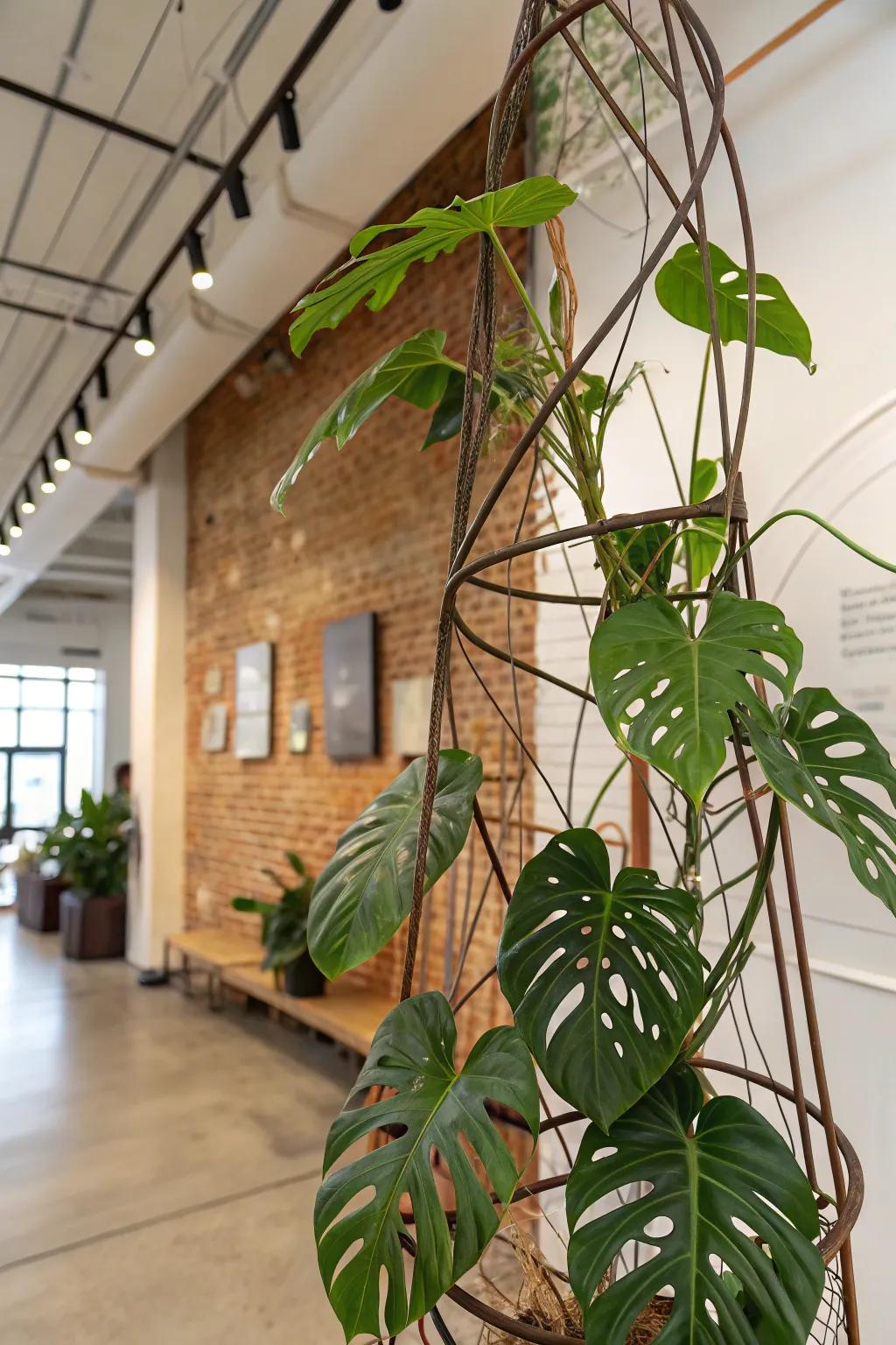 Show off your unique touch with this approach