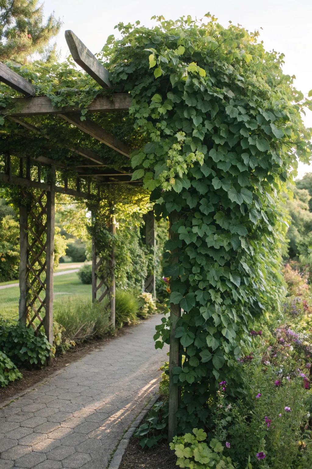 A flourishing backdrop trellis offers solitude and a lavish verdant foreground.