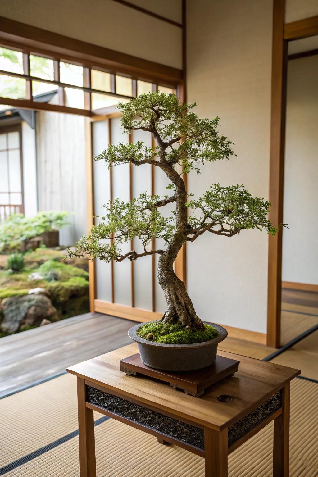 A Dwarf Tree offering a serene focal aspect in the quarter.