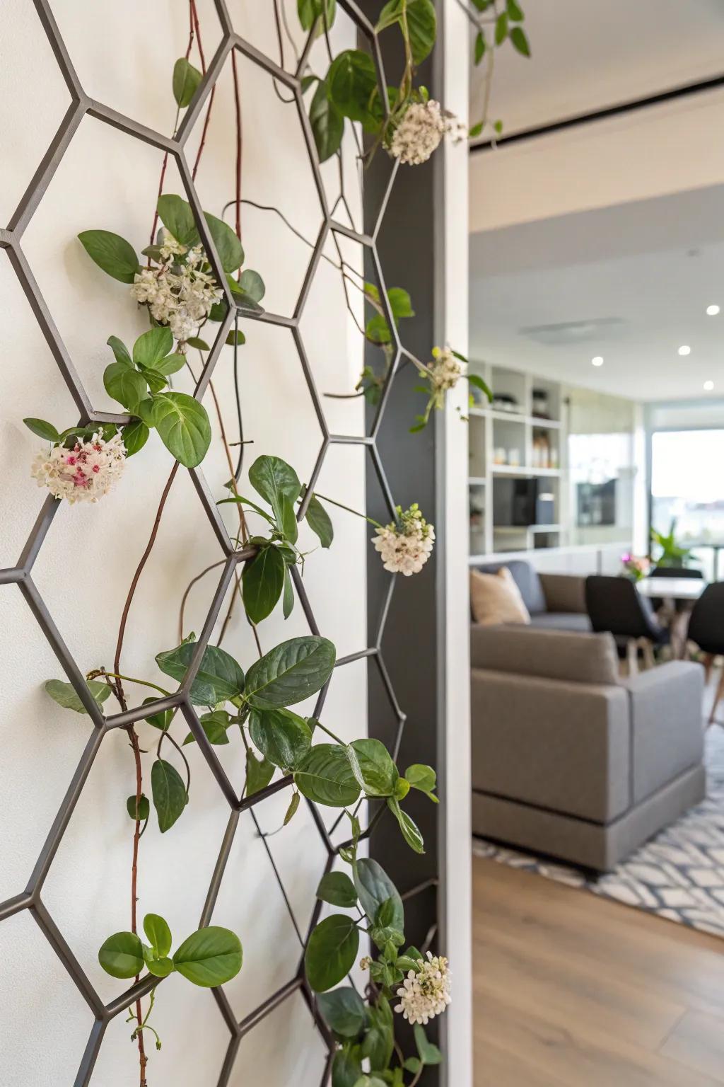 A chic city flat showcases a Sweetheart plant on symmetrical trellises.