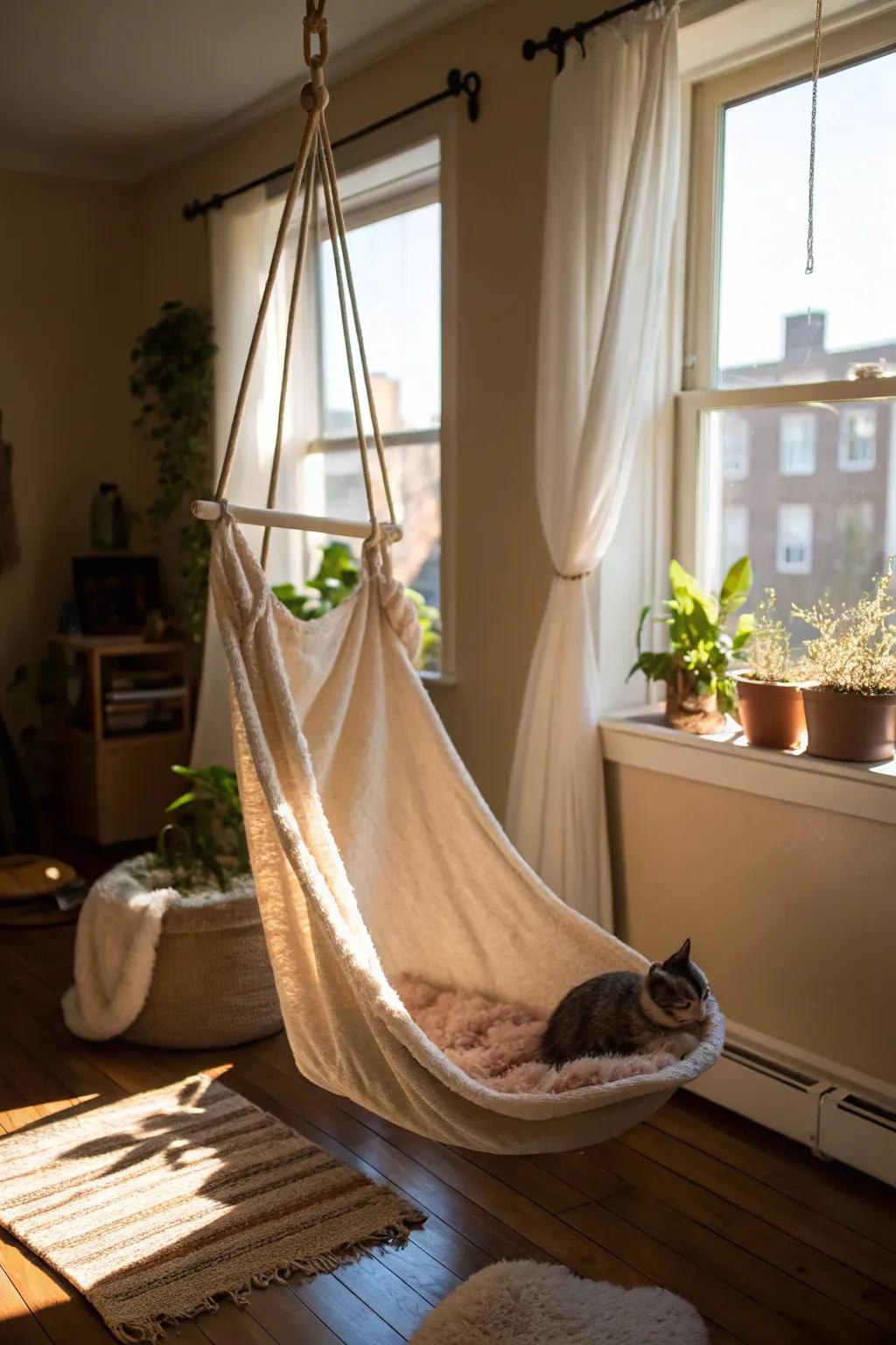 A dangling lounger offers a serene spot for cats to unwind.