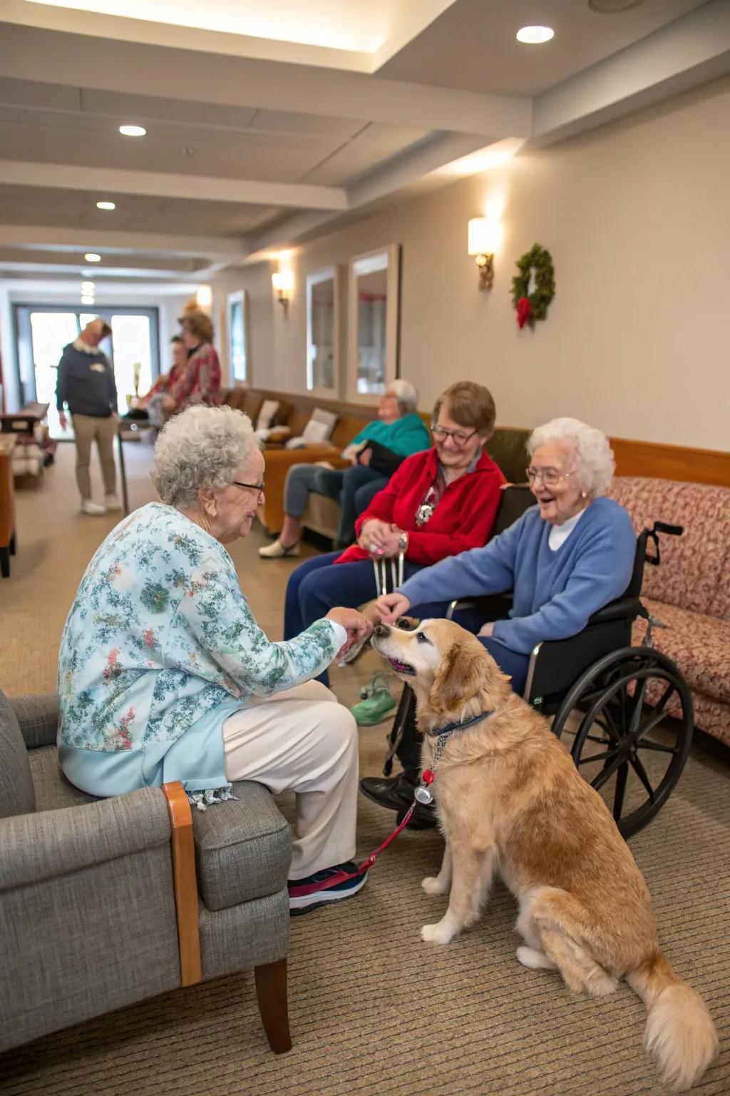 Elevating overall well-being through welcoming pet-friendly atmospheres.