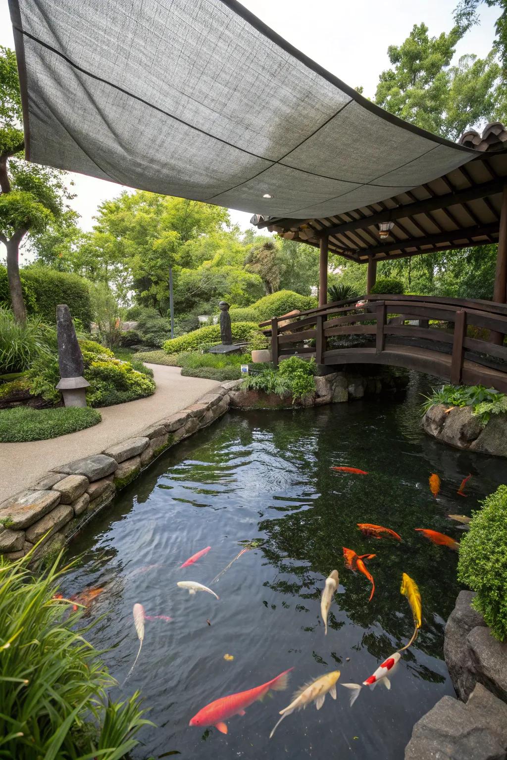A koi pond featuring a homemade tarp shade, providing cost-effective coverage.