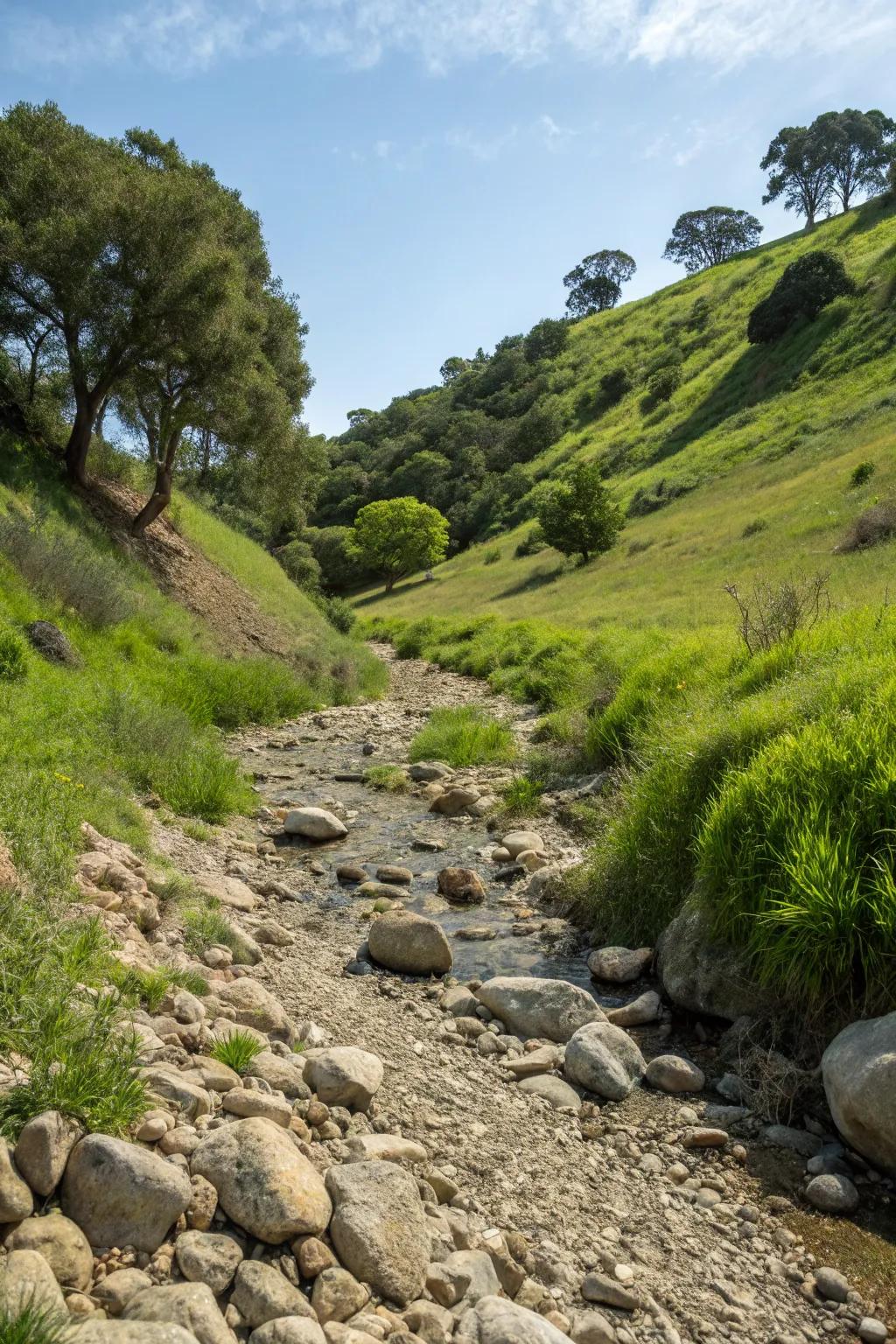 Dry creek beds combine functionality with natural beauty.