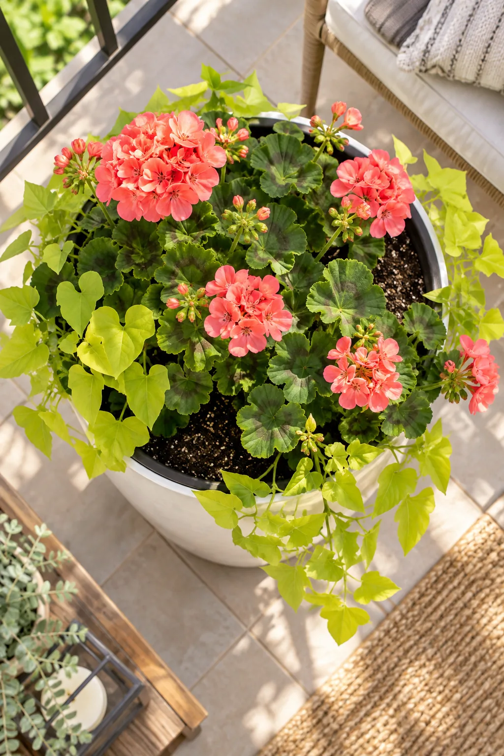 Detail of a white planter rim showing the subtle black edge of a hidden drop-in liner nestled inside.