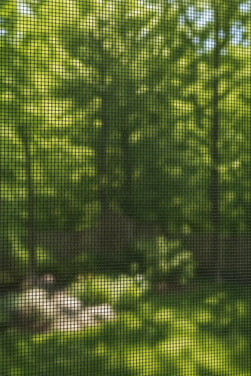 Close-up of tight charcoal screen mesh with green trees visible through it.